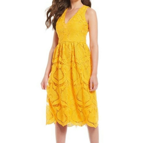 gianni bini camilla lace dress